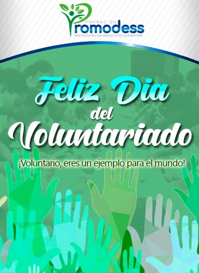 ¡Feliz Día del Voluntariado!