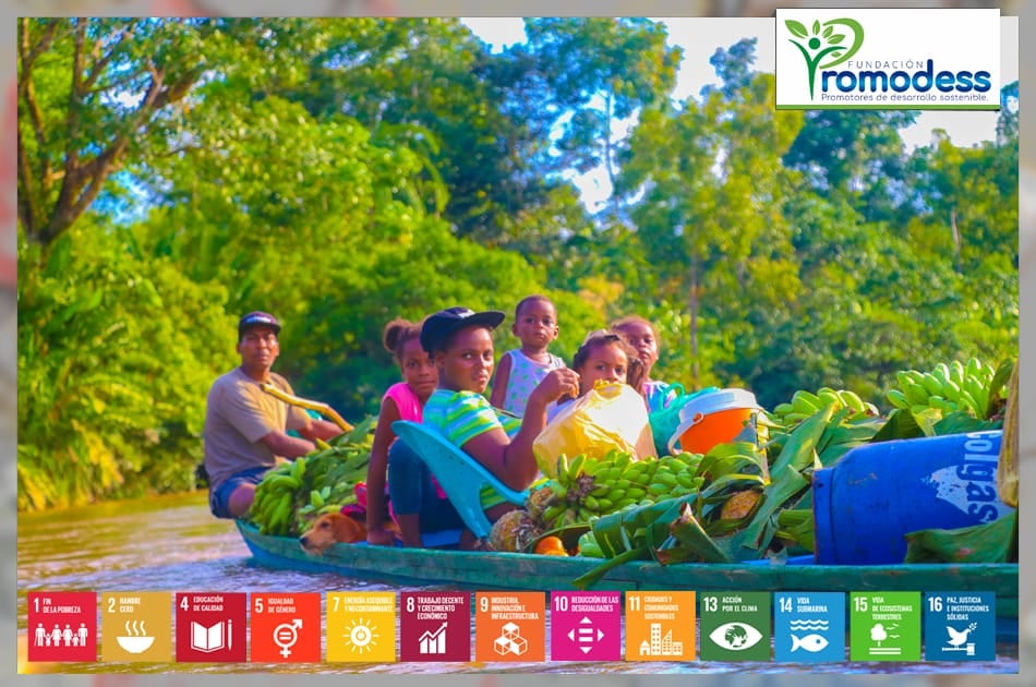 Fortalecimiento de la competitividad productiva, comercial y financiera de las mujeres y jóvenes rurales de las Subregiones del Atrato y San Juan del Departamento del Chocó